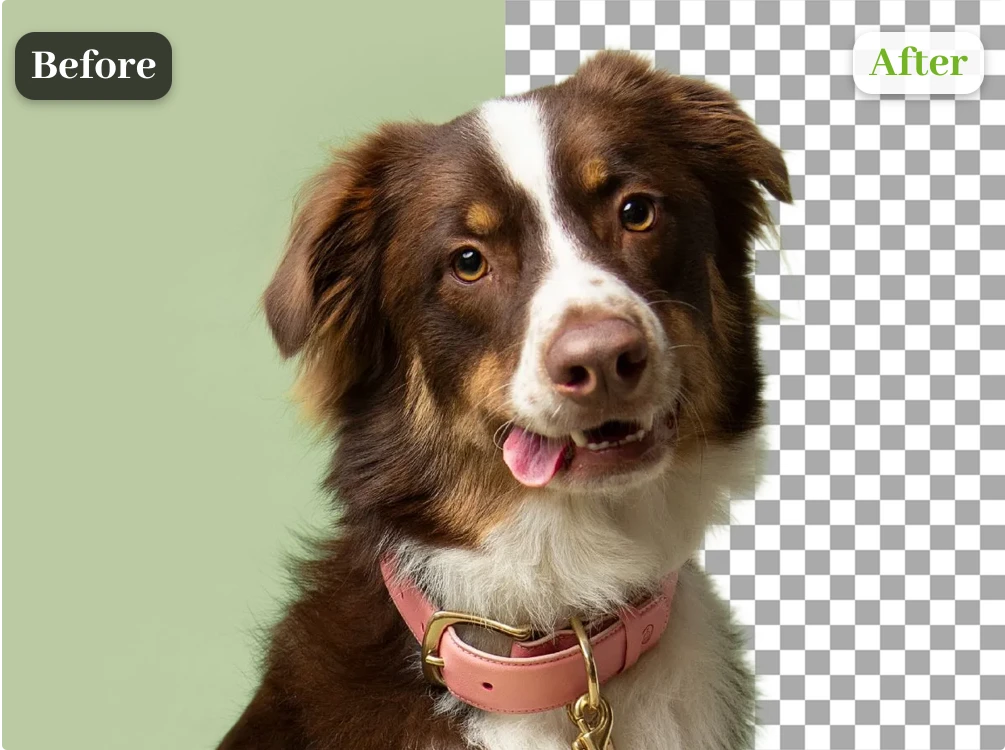 Transparent PNG Output background remover preview
