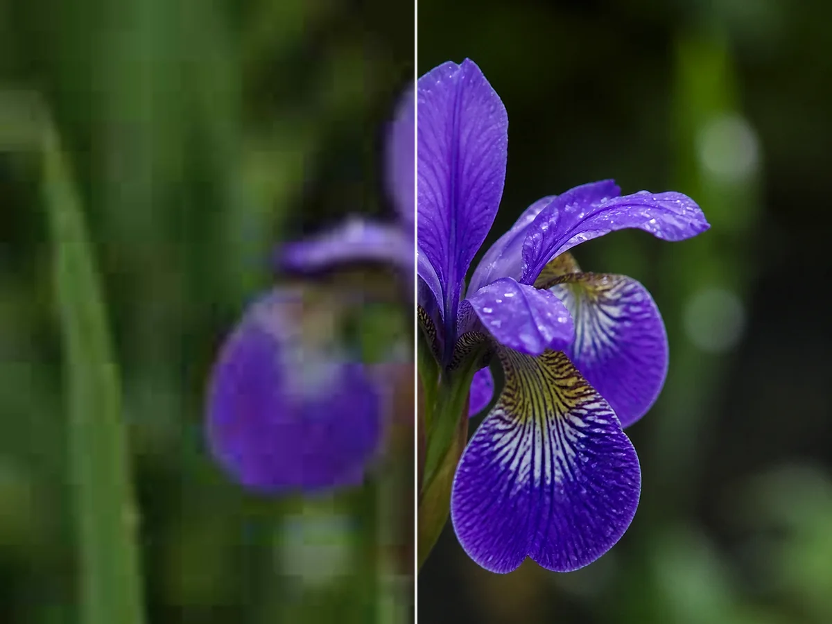 Free AI Image Sharpener - Sharpen Blurry Photos Online: Sharpen images online with AI to improve edge clarity, recover soft detail, and make blurry photos, text, and product images easier to see.
